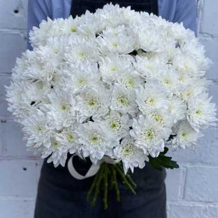 Белая кустовая хризантема - купить с доставкой в по Абашево
