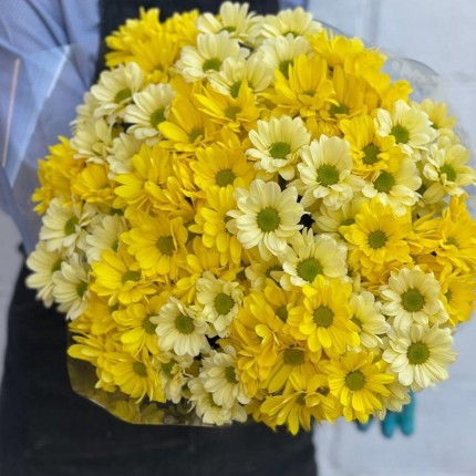 желтая кустовая хризантема - купить с доставкой в по Абашево